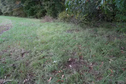 00 Phoenix Rd, Satartia, MS 39162 photo 9