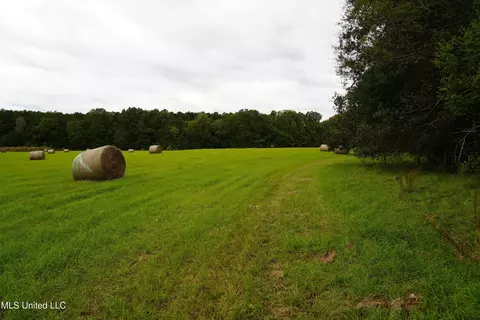 00 Phoenix Rd, Satartia, MS 39162 photo 4