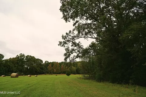 00 Phoenix Rd, Satartia, MS 39162 photo 14