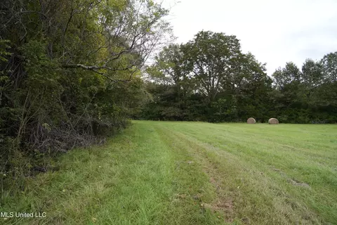 00 Phoenix Rd, Satartia, MS 39162 photo 15