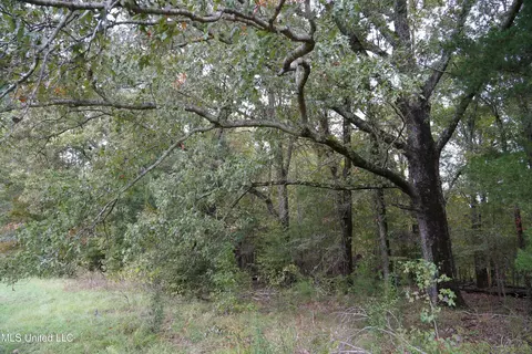 00 Phoenix Rd, Satartia, MS 39162 photo 8