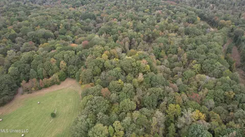 00 Phoenix Rd, Satartia, MS 39162 photo 28