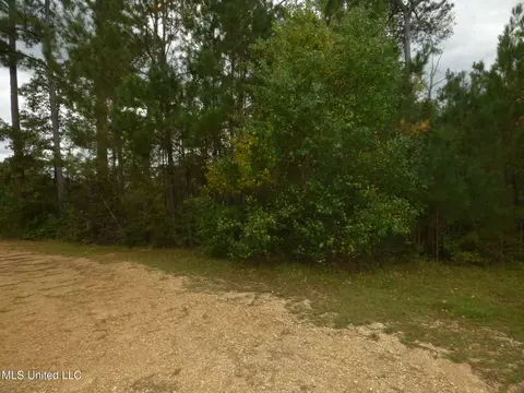 X Wild Estates Road, Mccomb, MS 39648 photo 5
