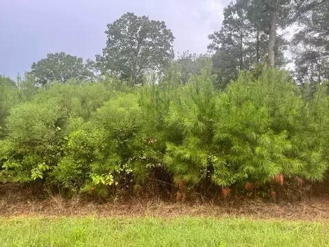 X Wild Estates Road, Mccomb, MS 39648 photo 3