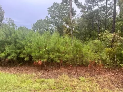 X Wild Estates Road, Mccomb, MS 39648 photo 2