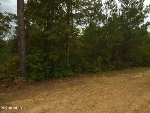 X Wild Estates Road, Mccomb, MS 39648 photo 6