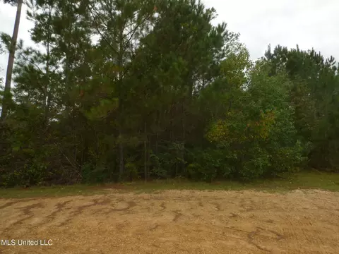 X Wild Estates Road, Mccomb, MS 39648 photo 4