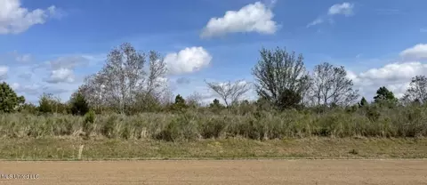 Church Road, Canton, MS 39046 photo 3