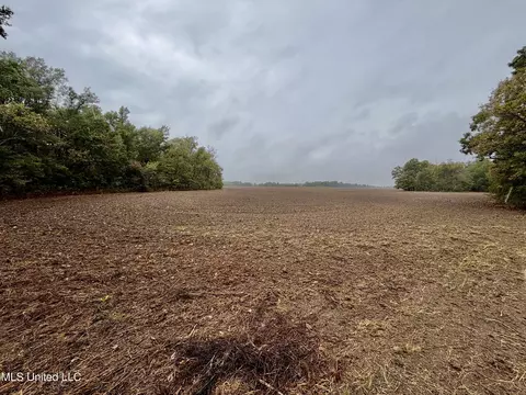 Youngblood Road, Dundee, MS 38626