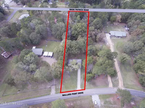 View/Area - 413 Mallard Pt, Brandon, MS 39042 photo 1 of 1