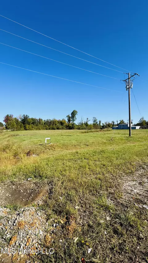 7072 E Bethel Rd, Olive Branch, MS 38654
