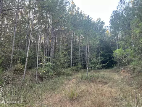 Red Water Road, Carthage, MS 39051 photo 11