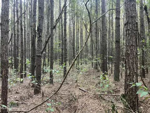 Red Water Road, Carthage, MS 39051 photo 6