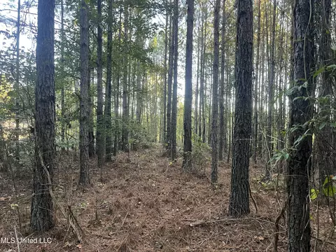 Red Water Road, Carthage, MS 39051 photo 13