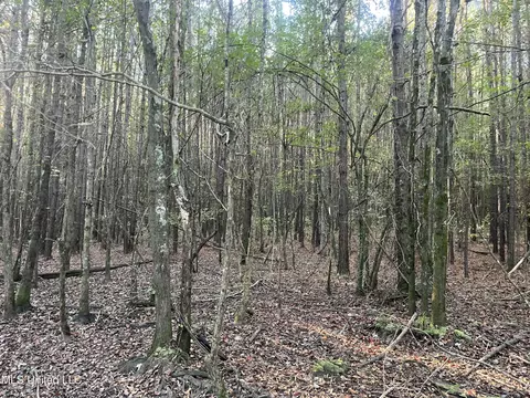 Red Water Road, Carthage, MS 39051 photo 10