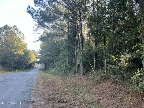 Red Water Road, Carthage, MS 39051 photo 9