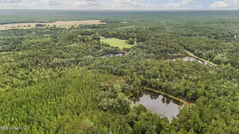 Crenshaw Road, Lucedale, MS 39452