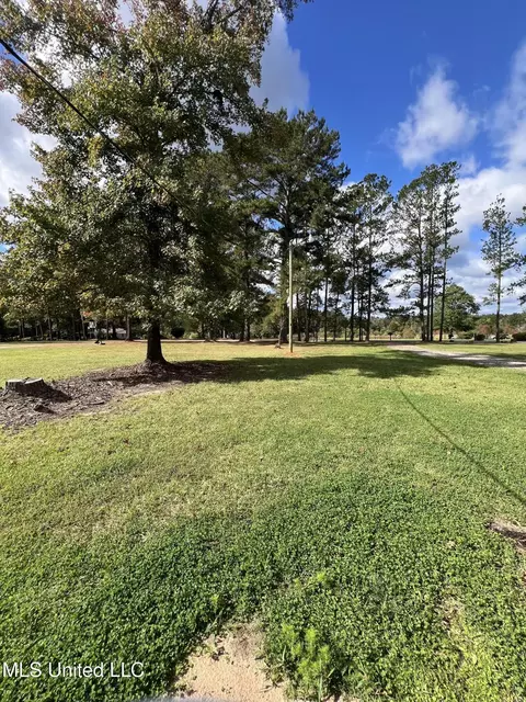 Other - 1074 Pleasant Grove Rd, Mccomb, MS 39648 photo 6 of 6
