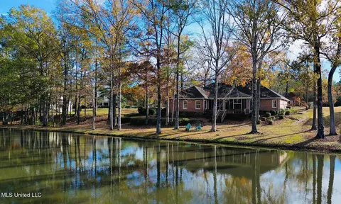 Other - 103 Pimlico Dr, Brandon, MS 39042 photo 1 of 31