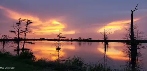 View/Area - 2422 Outside Horseshoe Rd, Tchula, MS 39169 photo 3 of 3
