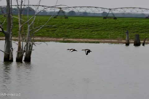 View/Area - 2422 Outside Horseshoe Rd, Tchula, MS 39169 photo 2 of 3