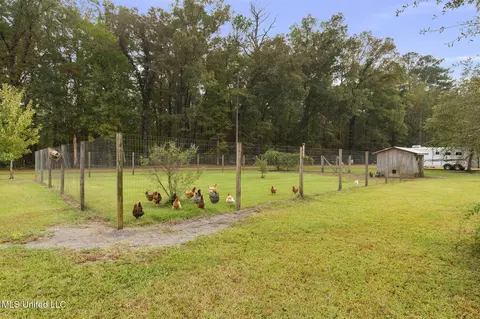 Exterior - 781 Miggins Rd, Canton, MS 39046 photo 23 of 33