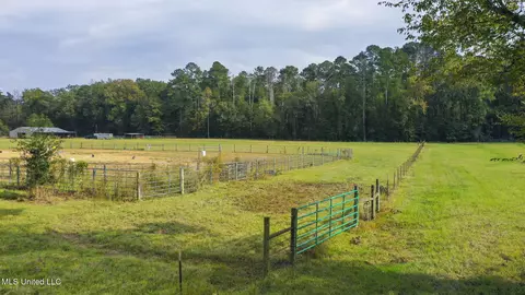 Other - 781 Miggins Rd, Canton, MS 39046 photo 35 of 47