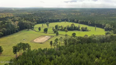 Other - 781 Miggins Rd, Canton, MS 39046 photo 32 of 47