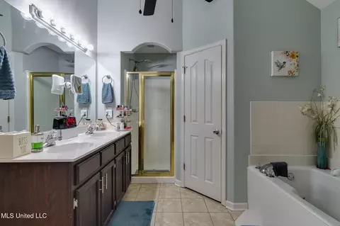 Bath - 280 Northwood Hills Dr, Hernando, MS 38632 photo 2 of 3