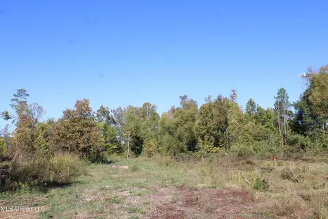 8031 Alexander Rd, Olive Branch, MS 38654 photo 14