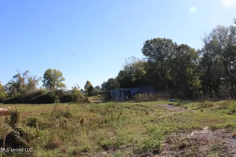 8031 Alexander Rd, Olive Branch, MS 38654 photo 16