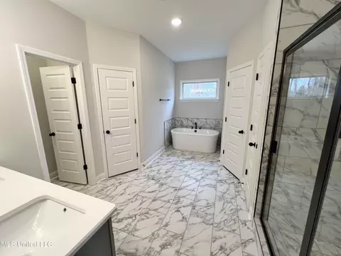 Bath - 2466 Scott Meadows Ln, Hernando, MS 38632 photo 1 of 4