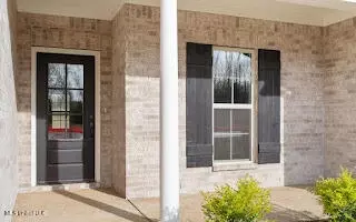 Other - 2466 Scott Meadows Ln, Hernando, MS 38632 photo 1 of 4