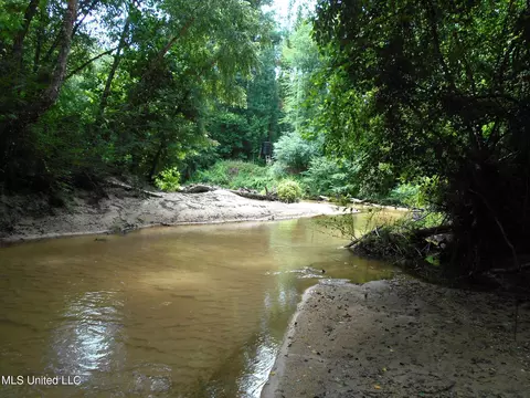 00 Inez Bryant Rd, Silver Creek, MS 39663