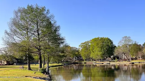 View/Area - 600 Pinecrest Dr, Madison, MS 39110 photo 2 of 2