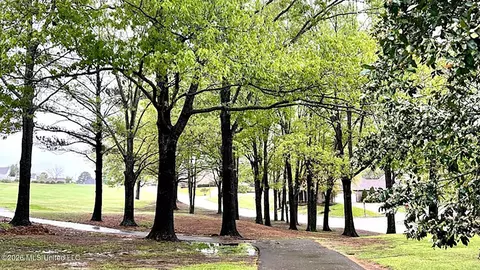 Other - 600 Pinecrest Dr, Madison, MS 39110 photo 8 of 8