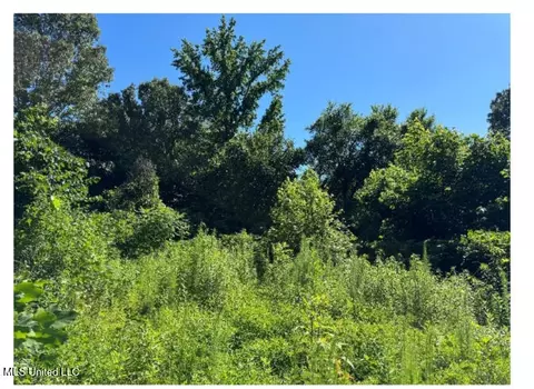 3605 Byhalia Rd, Hernando, MS 38632 photo 3