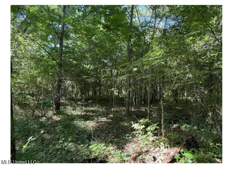 3605 Byhalia Rd, Hernando, MS 38632 photo 4
