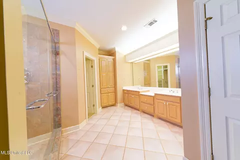 Bath - 902 Oak Trl, Canton, MS 39046 photo 3 of 4