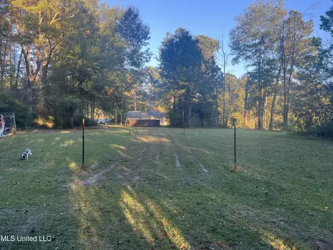 Exterior - 197 Halbert Thames Rd, Magee, MS 39111 photo 5 of 13