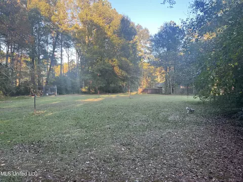 Exterior - 197 Halbert Thames Rd, Magee, MS 39111 photo 6 of 13