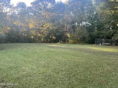 Exterior - 197 Halbert Thames Rd, Magee, MS 39111 photo 7 of 13