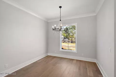 Other - 205 Lake Crest Dr, Madison, MS 39110 photo 1 of 8