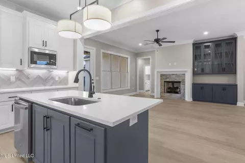 Kitchen - 436 Aurora Cir, Canton, MS 39046 photo 5 of 5