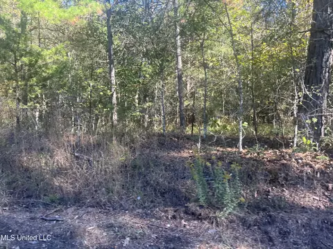Long Branch Road, West, MS 39192 photo 3