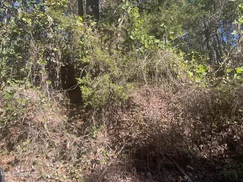 Long Branch Road, West, MS 39192 photo 5