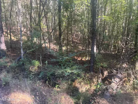 Long Branch Road, West, MS 39192 photo 8