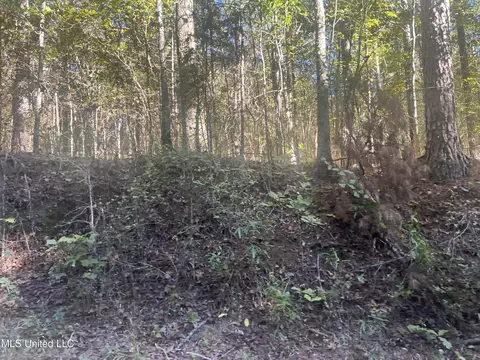 Long Branch Road, West, MS 39192 photo 6