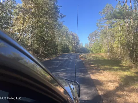 Long Branch Road, West, MS 39192 photo 2