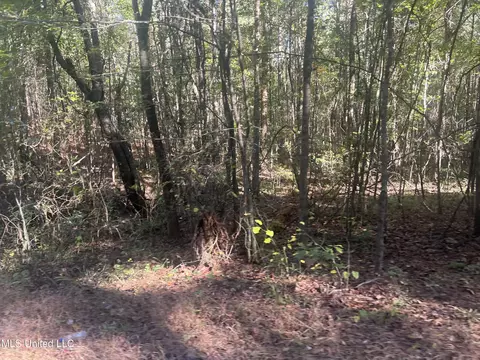 Long Branch Road, West, MS 39192 photo 7